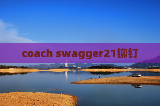 coach swagger21铆钉
